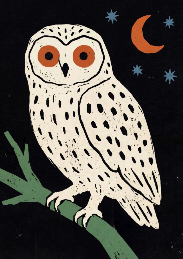 Starless Night Sentinel Artwork | FineCult